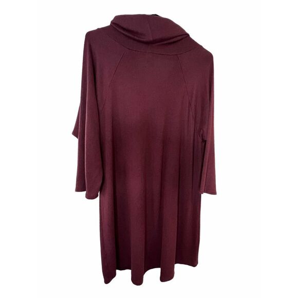 Vanity Maroon Sweater Dress With Turtleneck - Picture 4 of 4